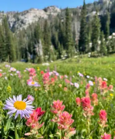 Lodging and Day Hiking Experience